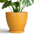 Ceramic Plant Pot - 8 Inch Planter for Indoor Outdoor Plants, Round Flower Pots with Drainage and Tray, Home Office Decor, Orange