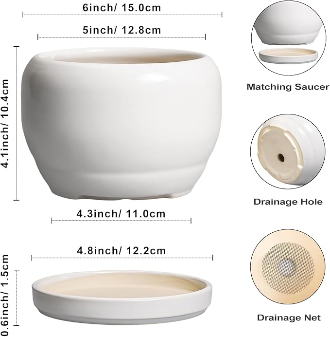 SQOWL Ceramic Flower Pots - 6 Inch Plant Pot Indoor Outdoor, Ceramic Planter with Drainage Hole and Saucer, Modern Round Succulent Planter, Bookshelf Decor, House Warming Gifts New Home, White