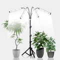 GHodec Grow Light with Stand, 200W 6000K Full Spectrum Gooseneck Floor Plant Light for Indoor Plants Growing,5 Dimmable Levels & Auto On/Off Timer, Tripod Stand Adjustable 15-48 in