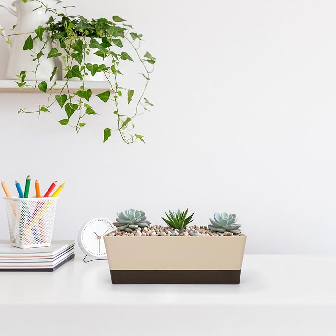 GREANER Planter Windowsill Box, 1 Pack 12x3.8 Inch Herb Rectangle Planter with Tray, Modern Indoor Succulent Cactus Plastic Plant Pot for Windowsill, Garden Balcony, Home Office Outdoor Decoration