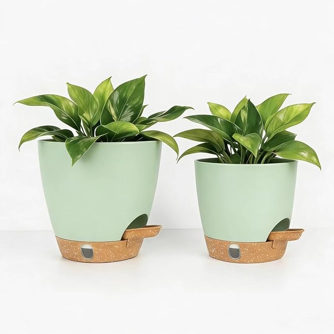 Self-Watering Plant Pots for Indoor Plants: 5/6 Inch Plastic Planter with Water Level Indicator, Drainage Holes & Deep Reservoir, Modern Decorative Flower Pot (Green)