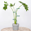 Set of 3 Sturdy Metal Plant Support Stakes for Indoor & Outdoor Use - Garden Trellis for Hydrangeas, Monstera, Flowers, Herbs, and Seedlings - Ideal for Small to Medium Plants