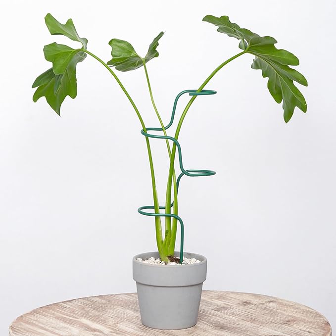 Set of 3 Sturdy Metal Plant Support Stakes for Indoor & Outdoor Use - Garden Trellis for Hydrangeas, Monstera, Flowers, Herbs, and Seedlings - Ideal for Small to Medium Plants