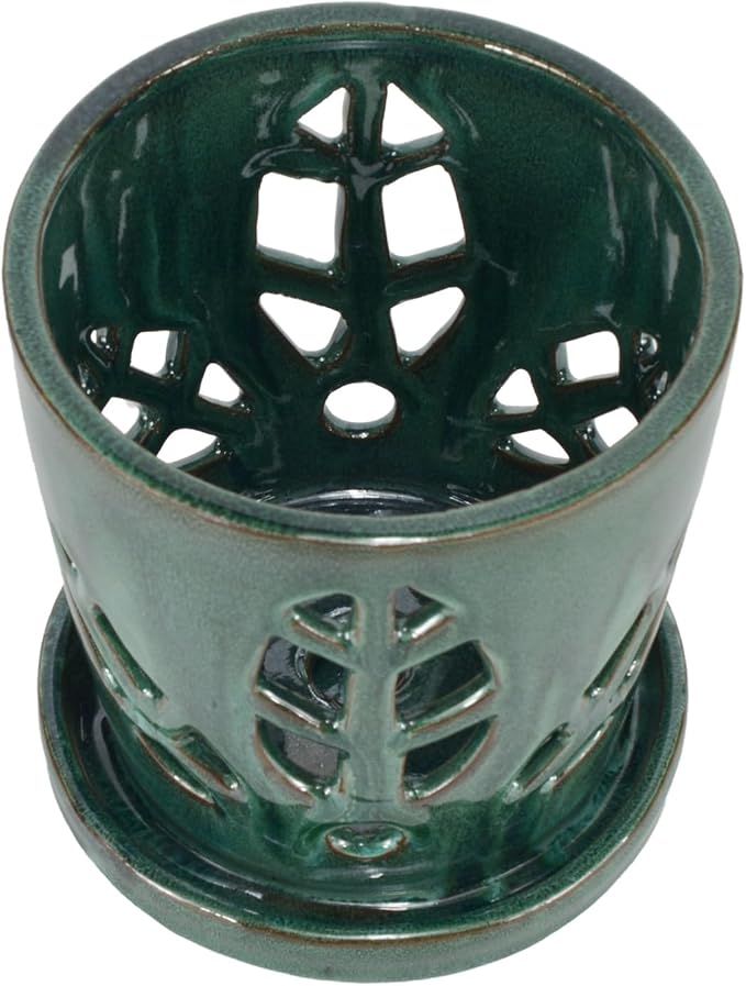 W&W Orchid Pot with Holes and Saucer for Repotting, Green Mix, 5.5 Inch