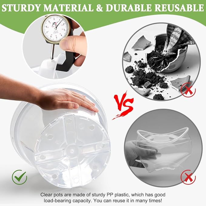 10 Pack 10 Inch Clear Nursery Pots with Saucers, Transparent Sturdy Plastic Plant Pots, Large Gardening Pots with Drainage Hole, Planting Starter Pot for Indoor Outdoor Flowers Herbs Vegetables