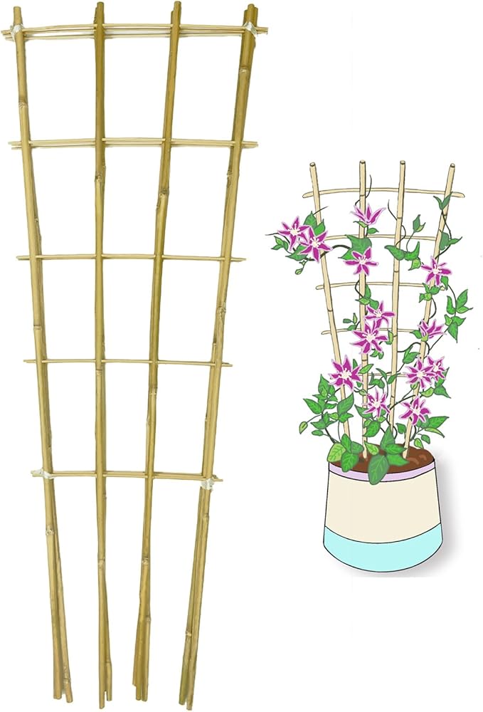 Natural Bamboo Trellis, 3Feet,3Pack,Fan-Shaped Plant Support Trellis for Outdoor and Indoor Potted Climbing Plants,Vegetables, Cucumber, Tomato, Hoya,