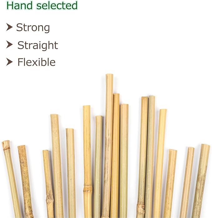 40pcs Natural Bamboo Sticks for Indoor and Outdoor Plants, 16 Inch Plant Support Stakes for Tomato, Beans, Potted Plants and Vegetable