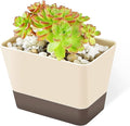 GREANER Planter Pot with Drainage, 1 Pack 6x3.8 Inch Herb Indoor Window Box with Tray, Modern Plastic Plant Flower Succulent Cactus Container for Windowsill, Garden Balcony, Home Office Outdoor Decor
