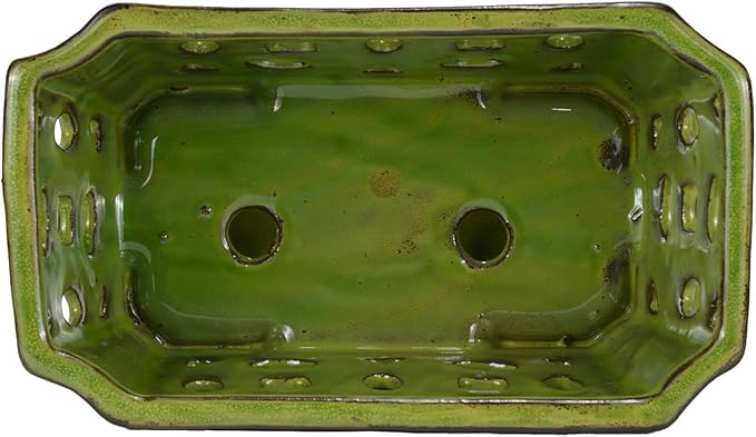 W&W Orchid Pot with Holes and Saucer for Repotting, YellowGreen, 9.7 Inch