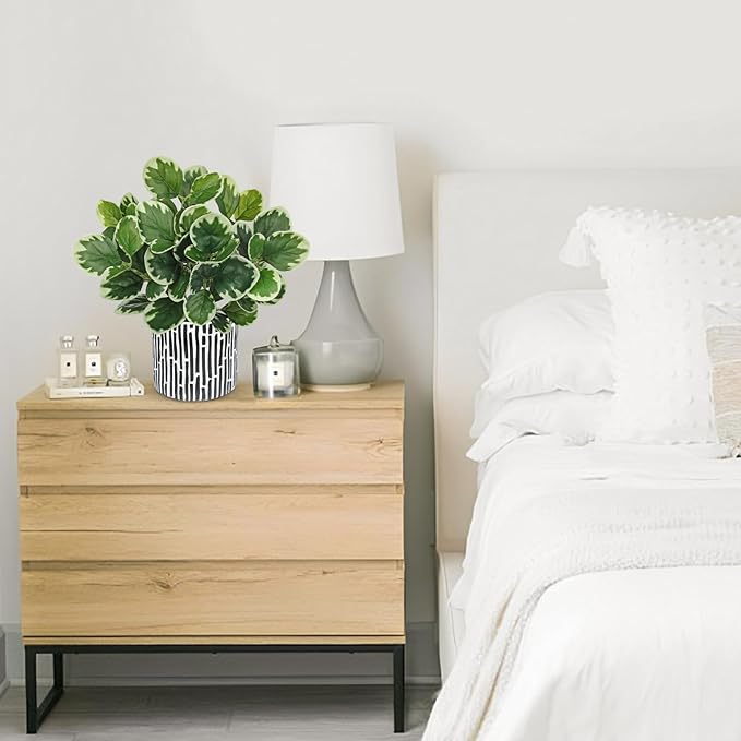 13" Artificial Plants Indoor Small Fake Plant in Ceramic Pot, Silk Plants for Home Decor Indoor, Faux Potted Plant for Shelves, Desks, Home, Room, Office, Bedroom, Farmhouse, Entryway, Tabletop Decor