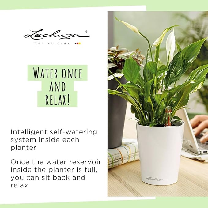 Lechuza 14903 Deltini Self-Watering Planter for Indoor and Outdoor Use, 6" x 6" x 7", Charcoal