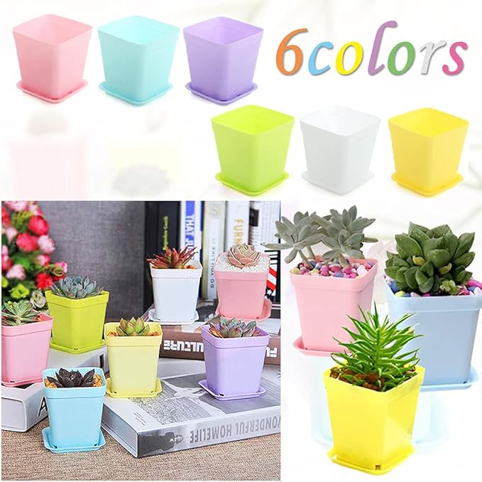 Haawooky 48 PCS 3 Inch Colorful Plastic Plant Pot,Plastic Square Nursery Pots,Seedling Nursery Pots with Saucers for Garden,Home,Office,Balcony Decor,Garden Gifts