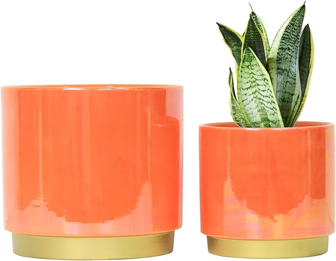 Gepege Peach Indoor Plant Pots for Plants, Ceramic Planter with Drainage Hole, 7.6 Inch +6 Inch 2pcs Succulent Orchid Flower Pot - Rainbow Pearl Glaze