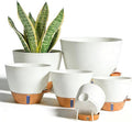7/6.5/6/5.5/5 Inch Self Watering Pots, Plastic Flower Pots with Multi Mesh Drainage Holes and Deep Reservoir for Indoor Outdoor Garden Plants and Flowers (White, 5/5.5/6/6.5/7/8)