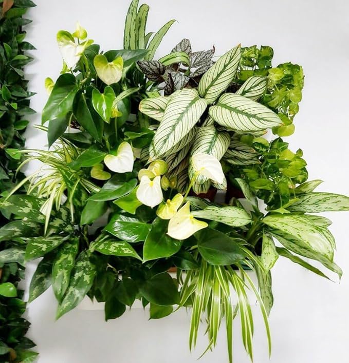 BOXSAND-12 Vertical Wall Planter for 12 Plants – Indoor/Outdoor Living Wall, Space-Saving Vertical Garden System, Easy 2-Screw Install (White, 24"x26", no pots)