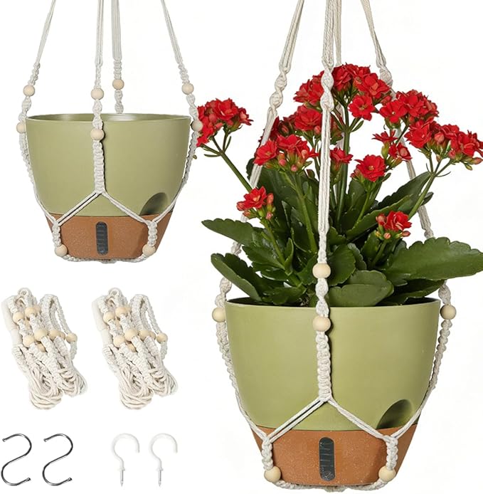 Self-Watering Hanging Planters for Indoor Plants Set 2-Piece Includes Plant Hanging Pot, Drainage-Hole Hanging Pot, and Hanging Basket Rack (10 Inches, Green)