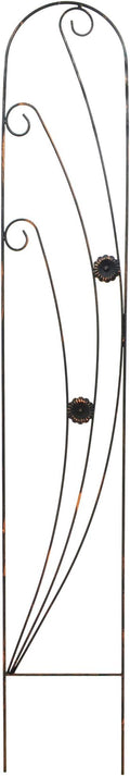 TR08 Phoenix Trellis 5' x 10", Black