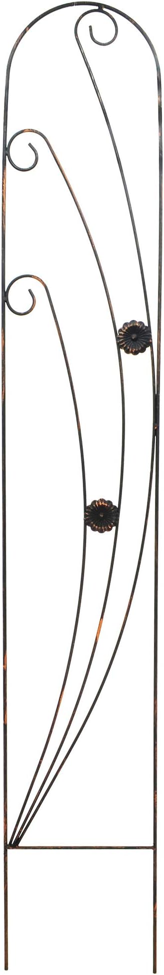 TR08 Phoenix Trellis 5' x 10", Black