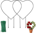 2 Pcs Heart Shaped Plant Trellis Indoor with 100 Plant Twist Tie Pothos Plants Climber Support Heart-Shaped Trellis Iron Heart Trelli Black Durable Houseplant Hearts Trelli for Potted Vines and Flower