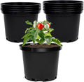 GREANER Plastic Garden Pots, 8 Inch Nursery Pots for Indoor Outdoor Plants, Black Plastic Planters for Planting Seeds, Flower, Succulent(Pack of 10)