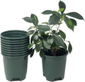 5.5 Inch Gardening Flower Pots 10-Pack Green Pot Liners 0.5 Gallon Nursery Pot Plastic Planters for Outdoor Indoor Plants with Drainage Holes