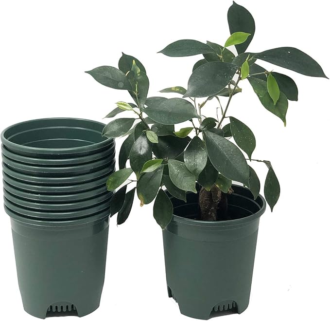 30-Pack Wholesale Nursery Pot in Bulk 5.5 Inch 0.5 Gallon Plastic Planters for Outdoor Indoor Plants Gardening Flower Pots with Drainage Holes Color Green