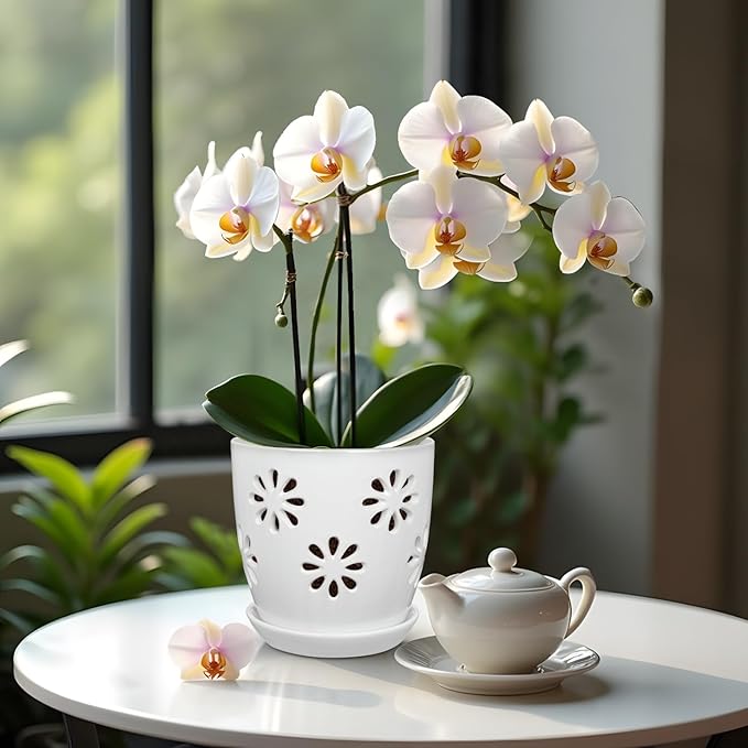 Oairse 6 inch Orchid Pots with Holes, White Ceramic Orchid Pot for Repotting Small Indoor Plant Pots with Drainage Holes and Saucers Decorative Flower Planter for Orchids, Indoor Plant