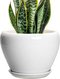 Ceramic Pot for Plants - 8 Inch Ceramic Planter for Indoor Plants, Modern Round Planter with Drainage Hole and Saucer, Plant Lover Gifts, Home Office Garden Decor, White
