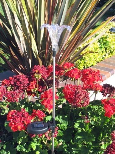 Solar Garden Stake Lights with Color Changing LED or Regular White LED Landscape Path Lights (Set of 2) (Lily Flower)