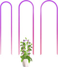 3 Pack Colorful Acrylic Plant Trellis for Indoor Plants, U-Shaped Small Plant Trellis for Potted Plants, Waterproof Climbing Support for Vine Ivy, Hoya, Pothos, Home Garden Decor