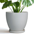 Ceramic Pots for Plants - 8 Inch Planter, Indoor Plant Pot with Drainage Hole and Saucers, Modern Flower Planters, Home Garden Patio Bathroom Porch Room Decor, Gray
