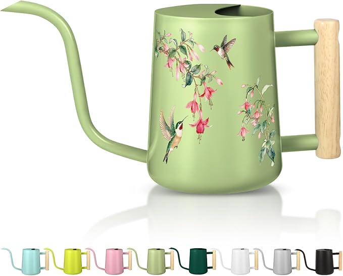 Watering Can Indoor Plants, 35oz Small Stainless Steel Metal Watering Can Modern Decorative Watering Pot with Long Spout for Indoor House Plant Bonsai Garden Flowers (Saga Green 1)