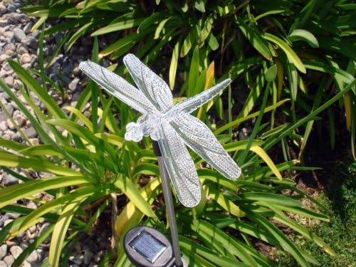 Solar Garden Stake Lights with Color Changing LED or Regular White LED Landscape Path Lights (Set of 2) (Dragonfly)