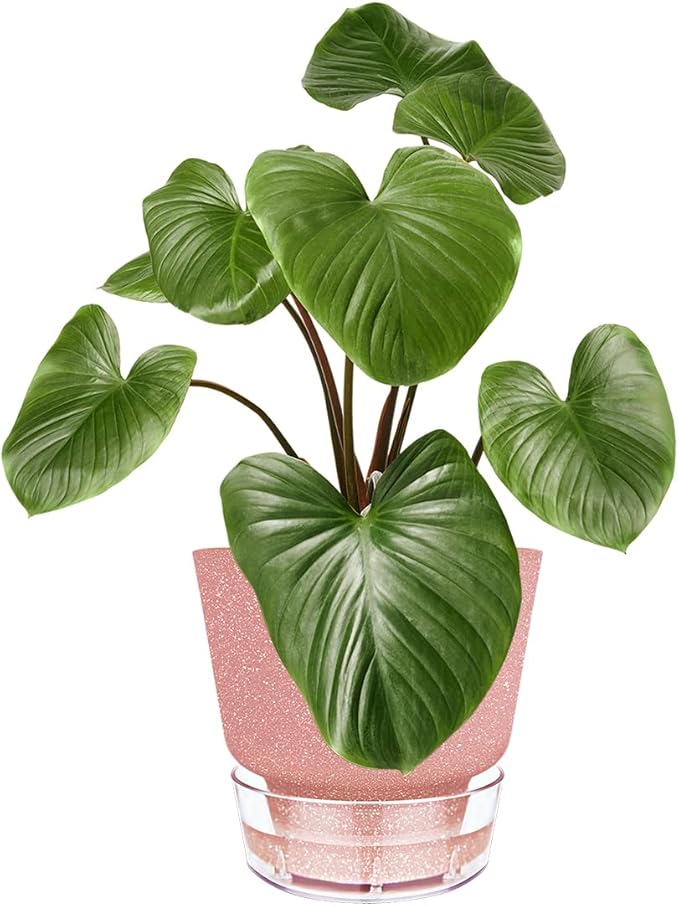 Self Watering Pots for Indoor Plants, with Visible Reservoir, 6 inch Plant Pot with Wick Rope Planter Pot for Indoor Outdoor Plants (Frosted Brick Red)
