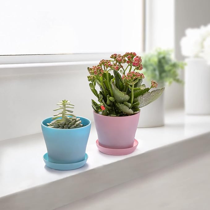 TDHDIKE 10 Pcs Plastic Planters Indoor Flower Plant Pots, Mini Flower Seedlings Nursery Pot/Planter/Flower Pot with Pallet, Modern Decorative Gardening Containers (Blue)