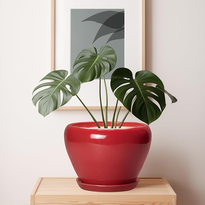 10 Inch Plant Pot - Ceramic Planter for Indoor Outdoor Plants, Glaze Modern Round Planter with Drainage Hole and Saucer, Gifts for Plant Lovers, Home Room Garden Decor, Red