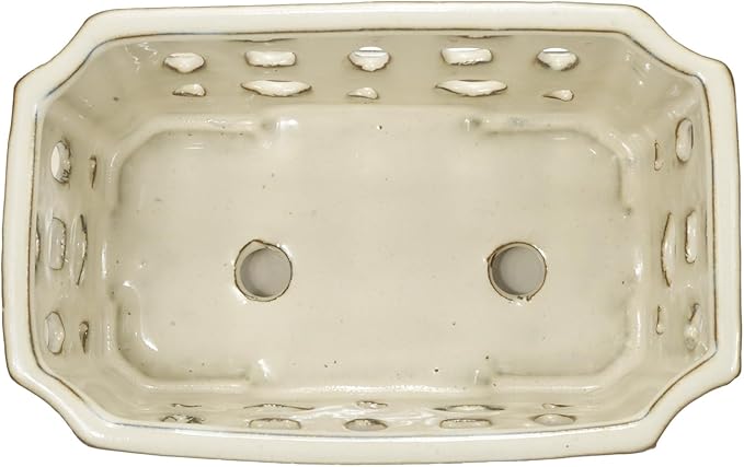 W&W Orchid Pot with Holes and Saucer for Repotting, Cream White, 9.7 Inch