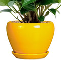 Ceramic Pot for Plants - 6 Inch Plant Pot Glaze Modern Decorative Round Planter with Drainage Hole and Saucer for Home Patio Room Office House Decor, Yellow