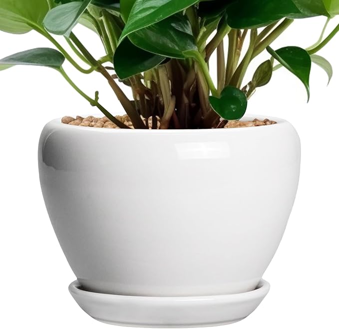 Ceramic Pot for Plants - 6 Inch Plant Pot for Succulent Plants, Glaze Modern Round Planter with Drainage Hole and Saucer, Gifts for Plant Lovers, Home Office Patio Room Decor, White