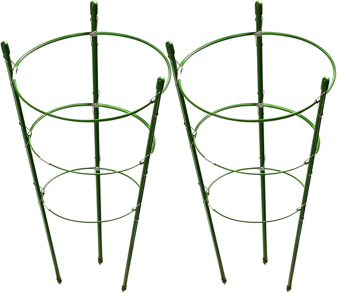 LEOBRO Tomato Cage, 2 PCS Small Plant Support Cage Rust Resistant Garden Ring Stake Plant Support for Tomato, Trellis, Climbing Plant, Flower, Plant Cages for Small Plants,17.7" H