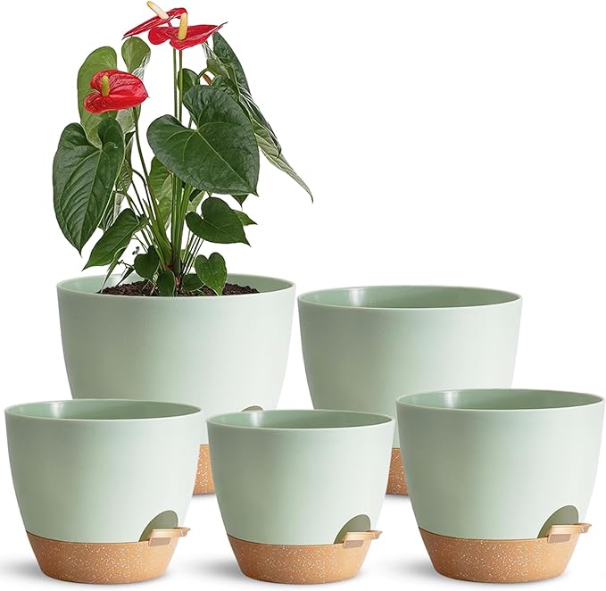Self Watering Planter Pots Set of 5 - Green Plastic Indoor Pots with Drainage Holes, Saucers and Reservoir for Home Decor, Office Desk, Windowsill, Shelf (Gift Idea)