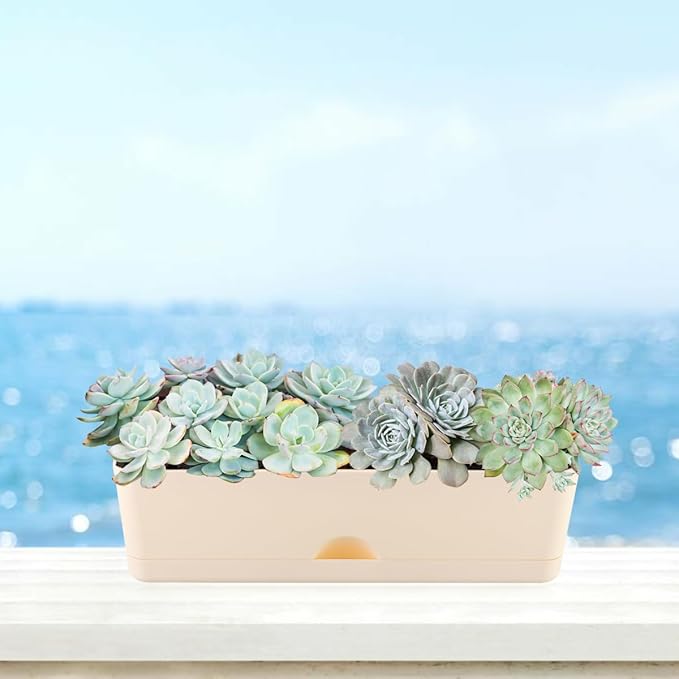 6 Pack Rectangle Planter 16x4.4 Inch Window Boxes Planters Rectangular Large Window Sill Planters Indoor Self Watering Plant Pots with Drainage Holes and Saucers Succulent Herb Flower Pots, Beige