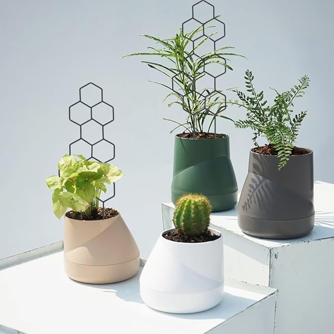 Small Trellis for Potted Plants, 15.94 inch Metal Plant Trellis for Climbing Plants Indoor Pot Honeycomb Shape Lattice for Ivy Vines Hoya Houseplants Flower 2 Pack