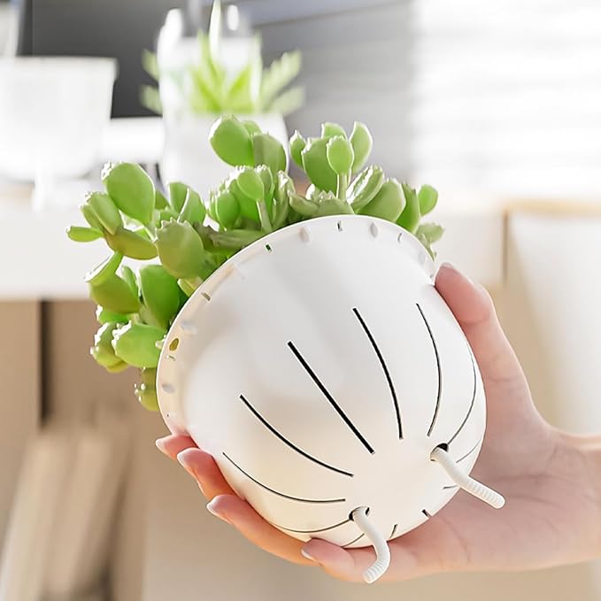 2 Pack 4 inch Self Watering Plants Pots Planters for Indoor Plants, African Violets Pots with Drainage Holes and Tray, Modern Plastic Flower Nursery Pots for Succulents,Herbs,Cactus