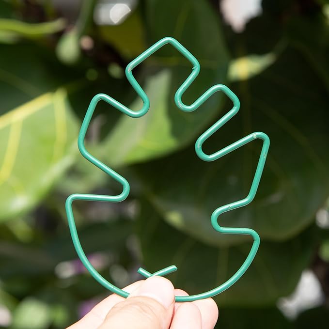 Monstera Plant Stem Support - 4.13 x 2.95 Inches 5 Pack Durable Leaf Holder for Climbing Plants, Ideal for Monstera & Vining Plants, Elegant Design for Plant Lovers