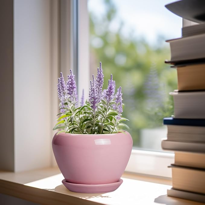 6 Inch Plant Pot - Ceramic Pot for Indoor Plants, Glaze Modern Decorative Round Ceramic Planter with Drainage Hole and Saucer, Plant Lover Gifts, Home Garden Room Office Decor, Pink