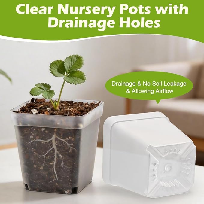 2.7 Inch Square Nursery Pots with Humidity Dome, 60 Packs Clear Seedling Pots with Drainage Holes, Reusable Propagation Pots Small Plant Container for Indoor Outdoor Gardening