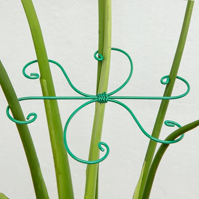 Monstera Plant Stem Support 5 Pcs - 7.5” Indoor Plant Stabilizer Holder for Monstera & Climbing Plants - Durable, Lightweight, Easy to Use for Optimal Growth & Stability - Home Décor Friendly