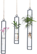 Aoderun Hanging Glass Planter Water Iron Art Hydroponic Vase Transparent Test Tube Flower Hanging Bottle Home Decoration (3pcs-S,M,L)