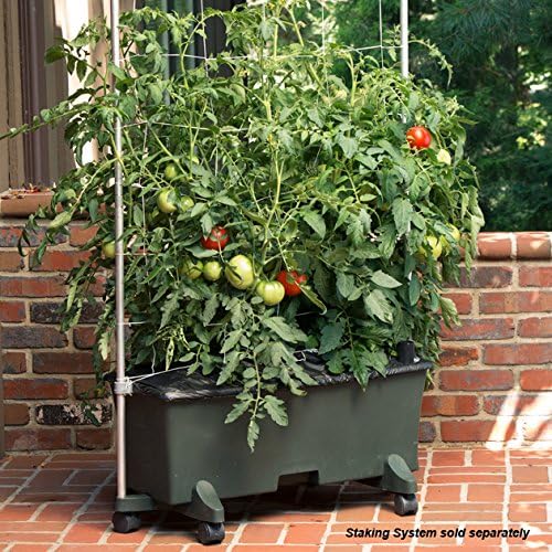 EarthBox 80151 Garden Kit, Organic, Green